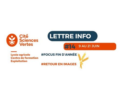 taille image MEA accueil (3).jpg